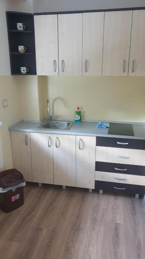 Apartments Kamenjar Novi Sad Bagian luar foto